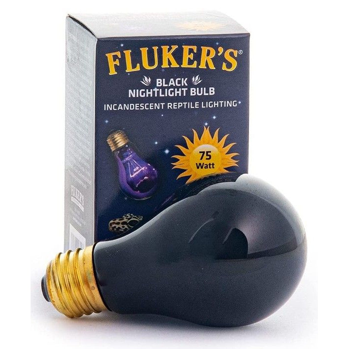 Flukers Black Nightlight Incandescent Bulb-Reptile-Flukers-75 Watt-