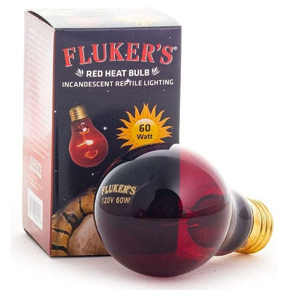 Flukers Red Heat Incandescent Bulb-Reptile-Flukers-60 Watt-