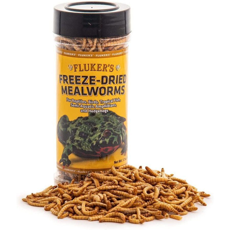 Flukers Freeze-Dried Mealworms-Reptile-Flukers-1.7 oz-