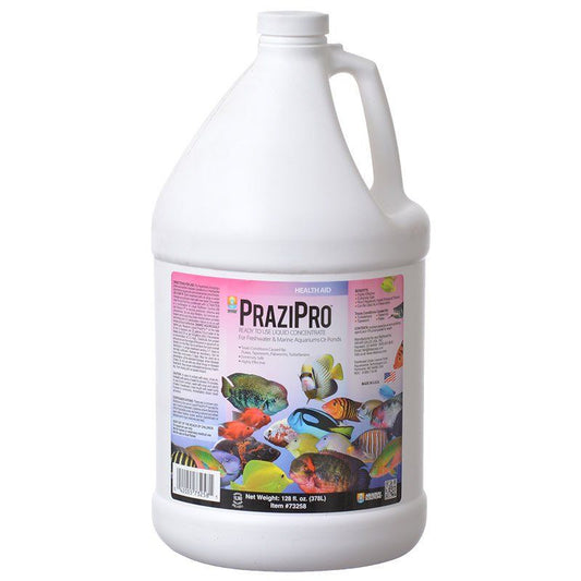 Hikari Aquarium Solutions PraziPro-Fish-Hikari-1 Gallon-