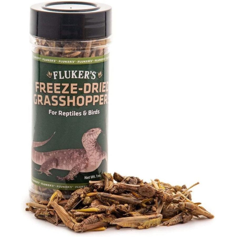 Flukers Freeze-Dried Grasshoppers-Reptile-Flukers-1 oz-