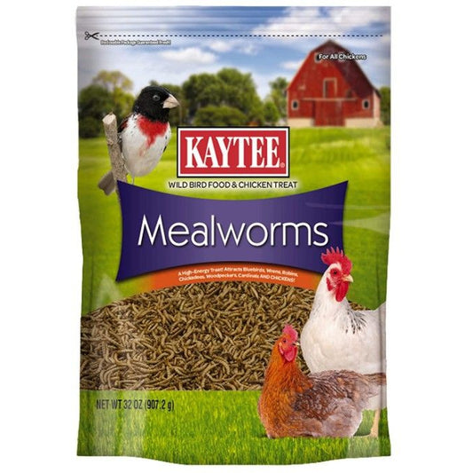 Kaytee Mealworms Bird Food-Bird-Kaytee-32 oz-