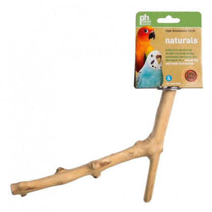 Prevue Naturals Y-Branch Perch - Coffea Wood-Bird-Prevue-9"L x 1/2"-1"D - (Small Birds)-