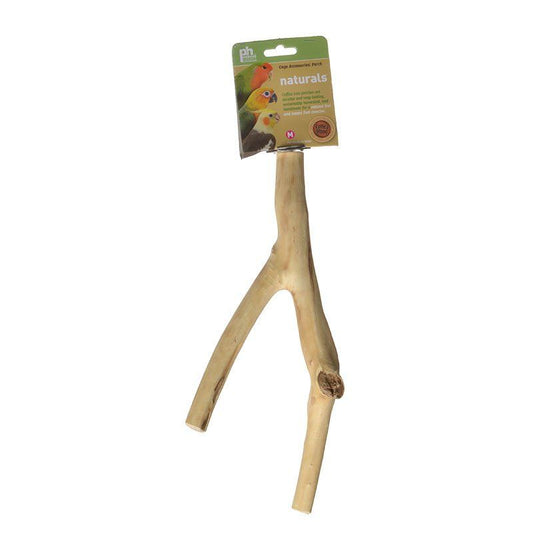 Prevue Naturals Y-Branch Perch - Coffea Wood-Bird-Prevue-12"L x 1/2"-1"D - (Small-Medium Birds)-