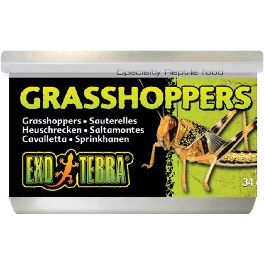 Exo-Terra Grasshoppers Reptile Food-Reptile-Exo-Terra-1.2 oz (34 g)-