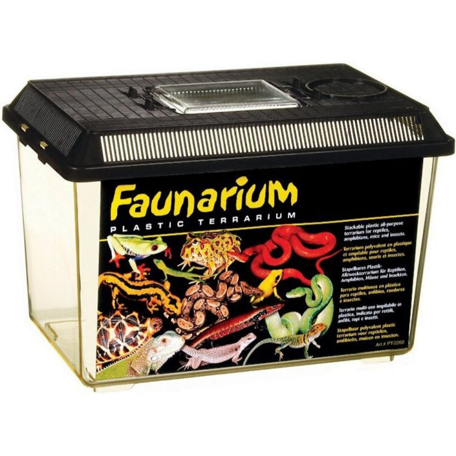 Exo-Terra Faunarium Plastic Terrarium-Reptile-Exo-Terra-Medium - (12"L x 7.5"W x 8"H)-