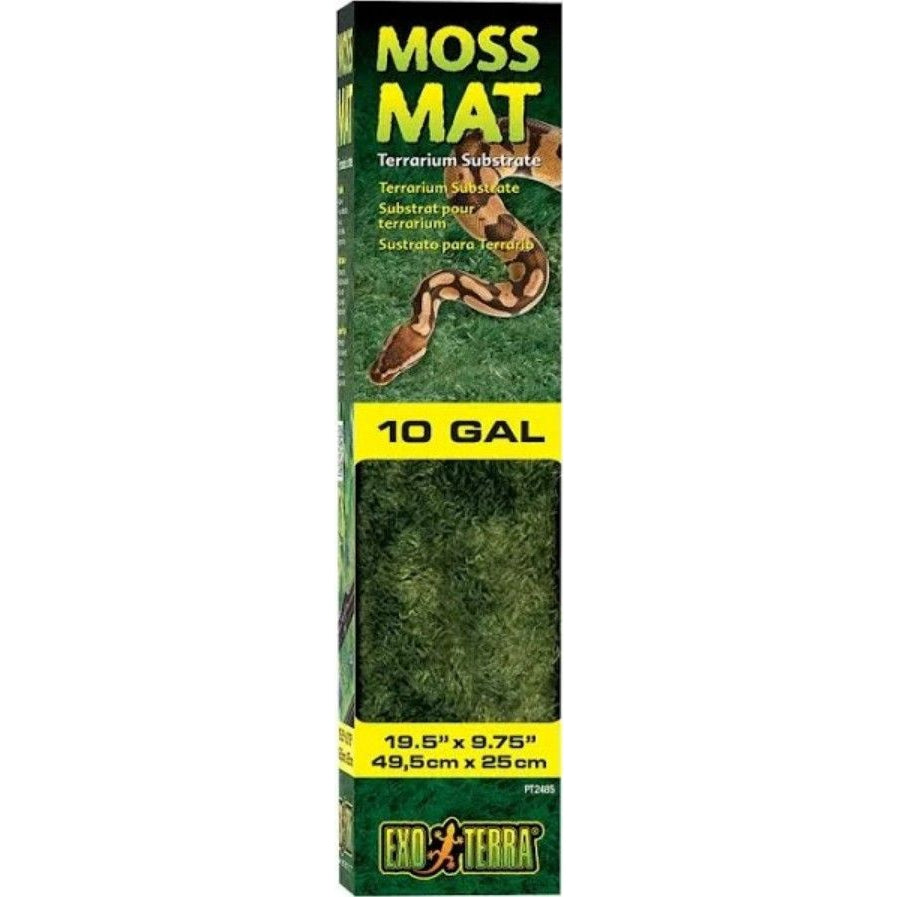Exo-Terra Moss Mat Terrarium Substrate-Reptile-Exo-Terra-10 Gallon - (19.5"L x 9.75"W)-