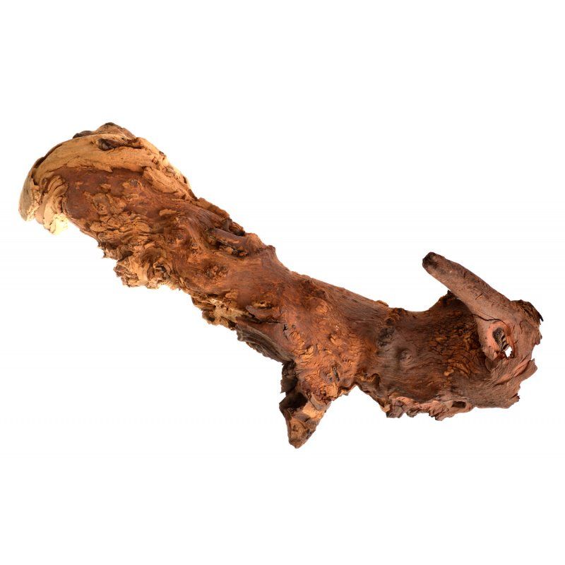 Zoo Med Aquatic Mopani Wood-Fish-Zoo Med-Jumbo (20"-24" Long)-