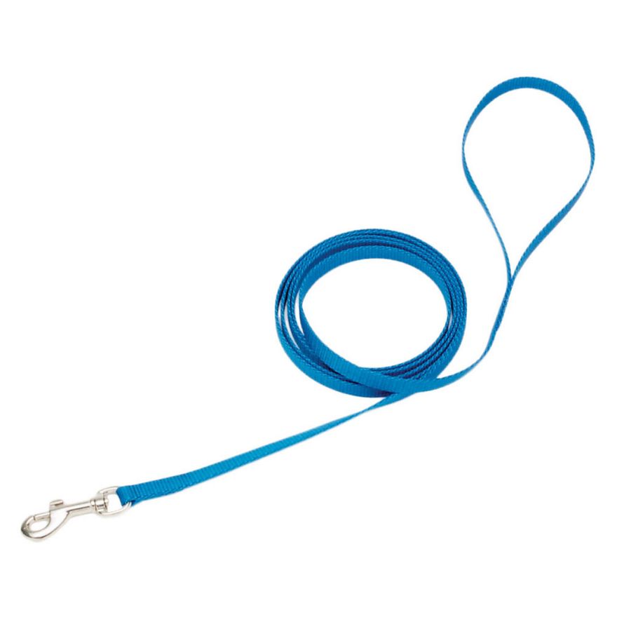 Coastal Pet Single Ply Dog Leash - Blue Lagoon-Dog-Coastal Pet-6'L x 38"W-