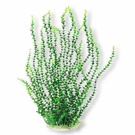 Aquatop Light Green Small Leaf Aquarium Plant-Animals & Pet Supplies-BimBimPet-