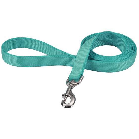 Coastal Pet Double-ply Nylon Dog Lead Teal-Dog-Coastal Pet-72"L x 1"W-