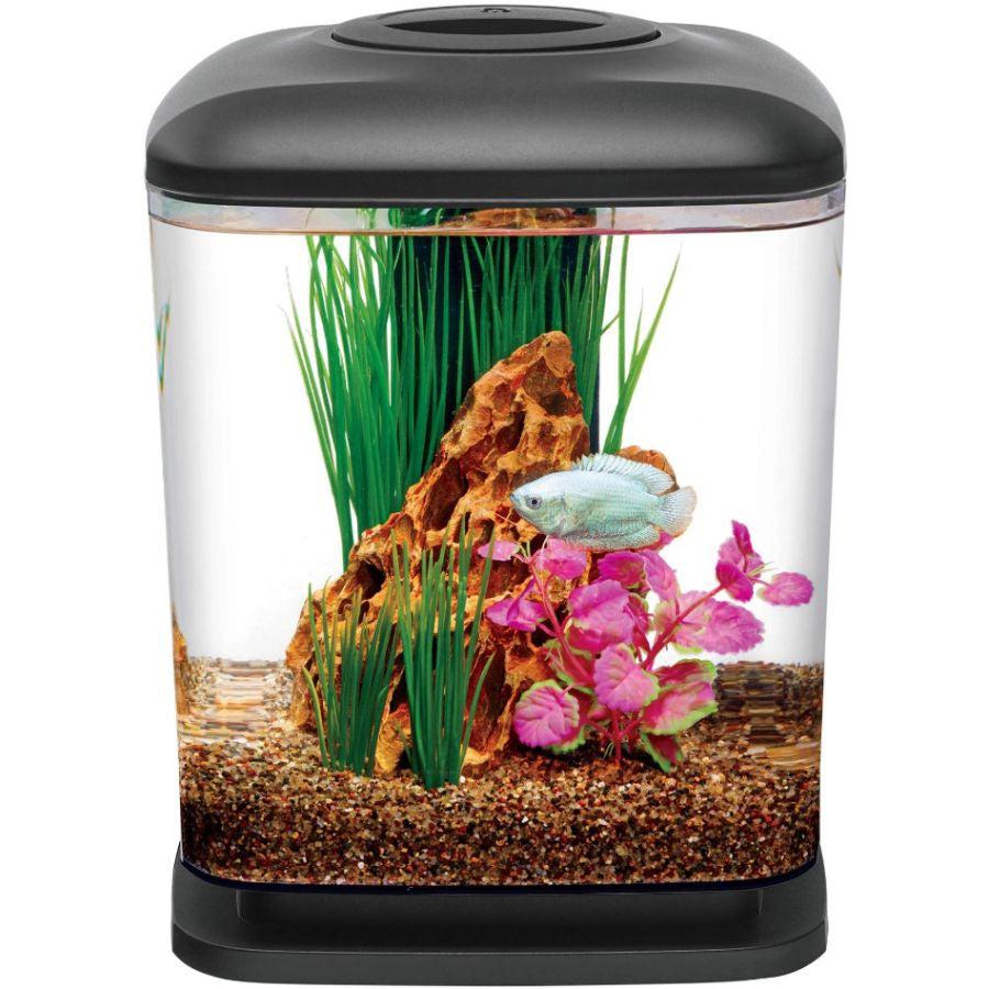 Aqueon Mini Cube LED Aquarium Kit - Black-Fish-Aqueon-1.6 gallon-