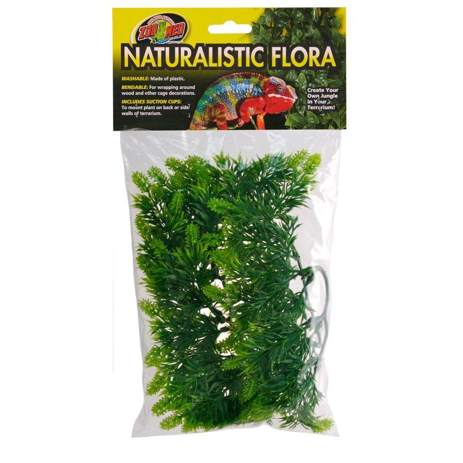 Zoo Med Malaysian Fern Plant-Reptile-Zoo Med-1 count-