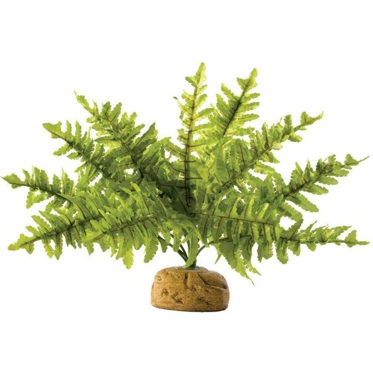 Exo Terra Boston Fern Terrarium Plant-Reptile-Exo-Terra-Small - 1 count-