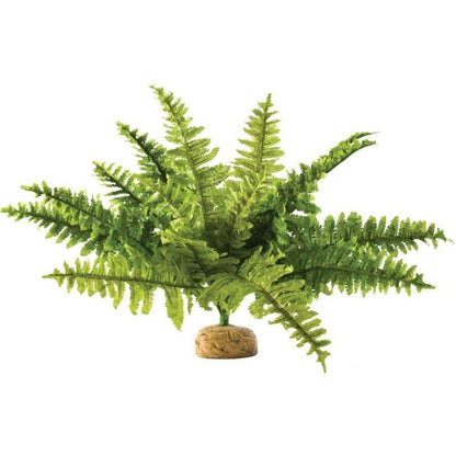 Exo Terra Boston Fern Terrarium Plant-Reptile-Exo-Terra-Medium - 1 count-