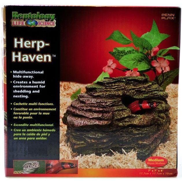 Reptology Herp Haven Reptile Hide Away-Reptile-Reptology-Medium-