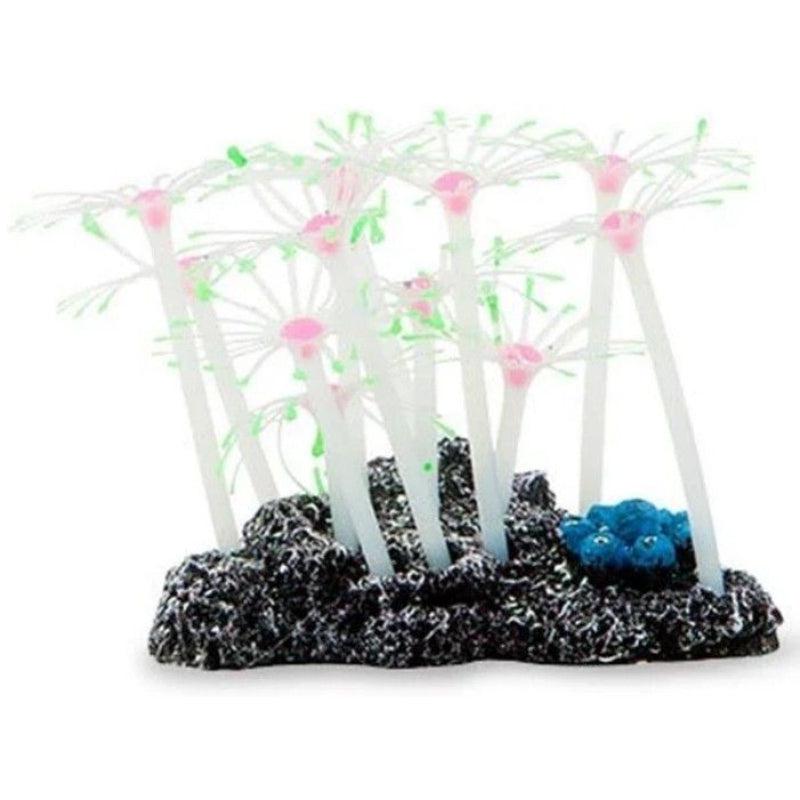 Aquatic Creations Aquarium Decor Star Polyps Green & Pink-Animals & Pet Supplies-BimBimPet-