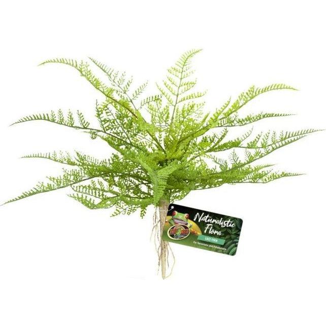 Zoo Med Naturalistic Flora Lace Fern-Reptile-Zoo Med-1 count-