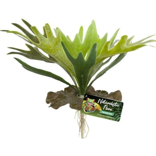 Zoo Med Naturalistic Flora Staghorn Fern-Reptile-Zoo Med-1 count-