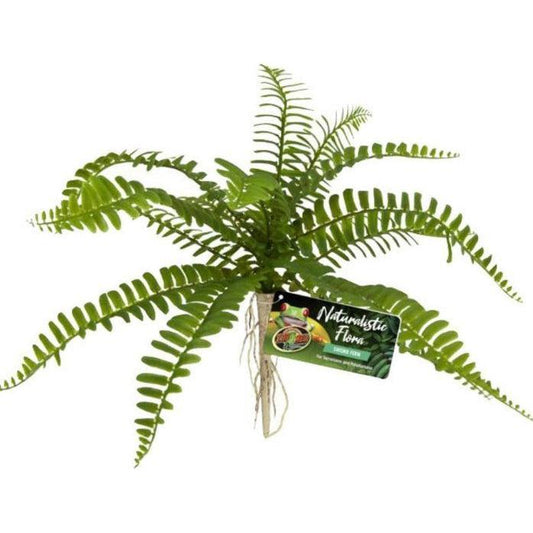 Zoo Med Naturalistic Flora Sword Fern-Reptile-Zoo Med-1 count-