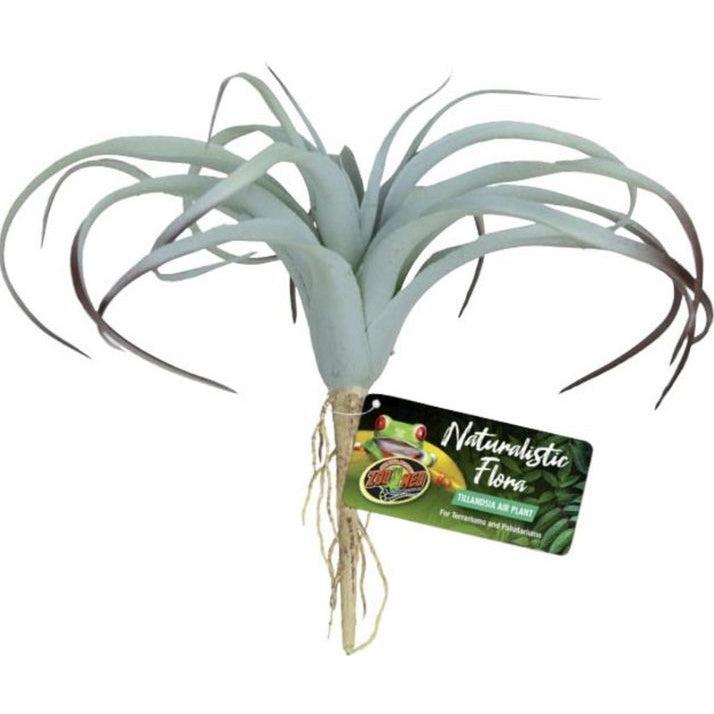 Zoo Med Naturalistic Flora Tillandsia Air Plant-Reptile-Zoo Med-1 count-