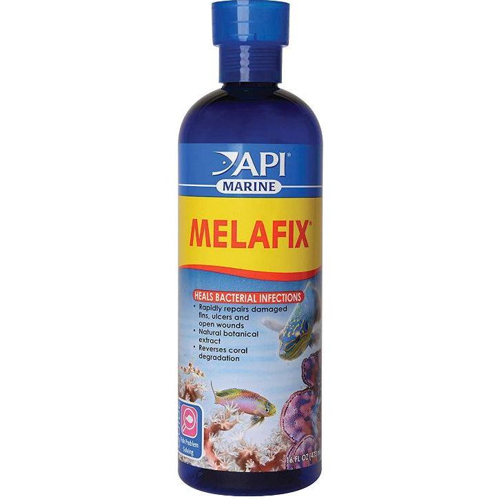 API Marine MelaFix Antibacterial Fish Remedy-Fish-API-16 oz-