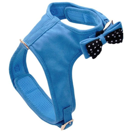 Coastal Pet Accent Microfiber Dog Harness Boho Blue with Polka Dot Bow-Dog-Coastal Pet-X-Small-