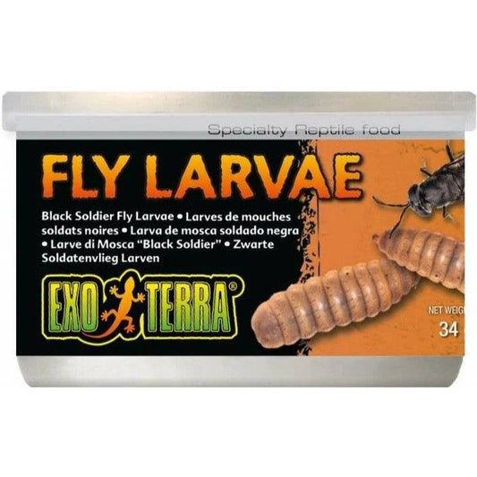 Exo Terra Canned Black Soldier Fly Larvae Specialty Reptile Food-Reptile-Exo-Terra-1.2 oz-