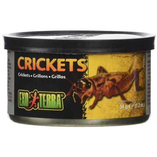 Exo Terra Canned Crickets Specialty Reptile Food-Animals & Pet Supplies-BimBimPet-