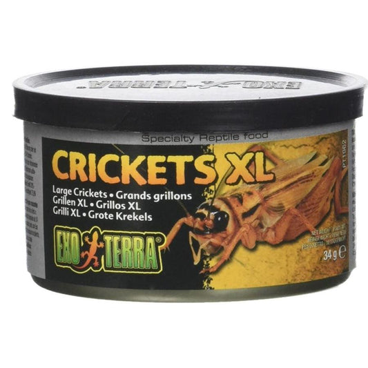 Exo Terra Canned Crickets XL Specialty Reptile Food-Reptile-Exo-Terra-1.2 oz-