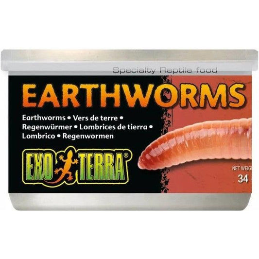 Exo Terra Canned Earthworms Specialty Reptile Food-Reptile-Exo-Terra-1.2 oz-