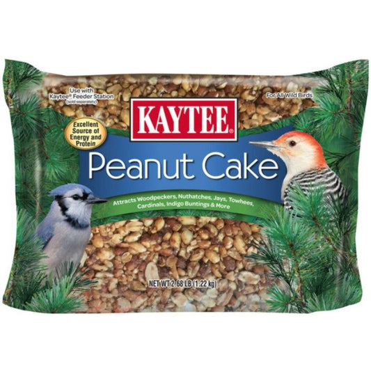 Kaytee Wild Bird Energy Cake With Peanut-Animals & Pet Supplies-BimBimPet-