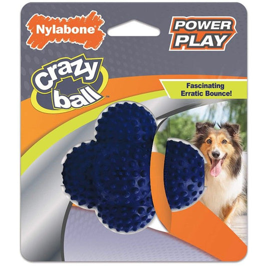 Nylabone Power Play Crazy Ball Dog Toy Large-Dog-Nylabone-1 count-