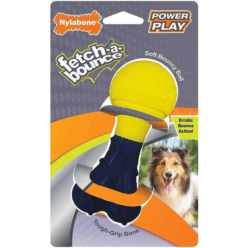 Nylabone Power Play Fetch-a-Bounce Rubber 5" Dog Toy-Dog-Nylabone-1 count-