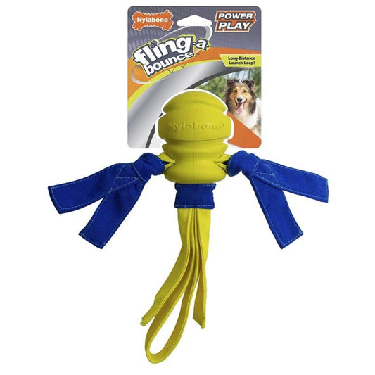 Nylabone Power Play Fling- a-Bounce Fetch 10" Dog Toy-Dog-Nylabone-1 count-