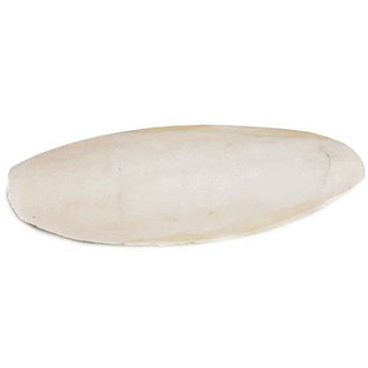 Prevue Cuttlebone Birdie Basics Large 6" Long-Bird-Prevue-25 count-