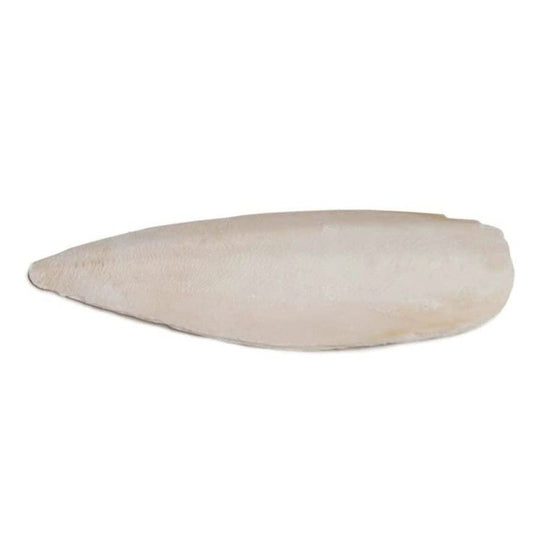 Prevue Cuttlebone Birdie Basics Large 6" Long-Bird-Prevue-Bulk 5 lbs-