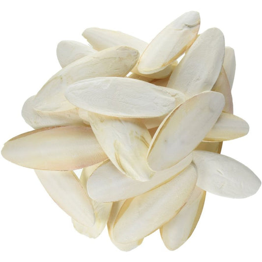 Prevue Cuttlebone Birdie Basics Medium 5" Long-Bird-Prevue-25 count-