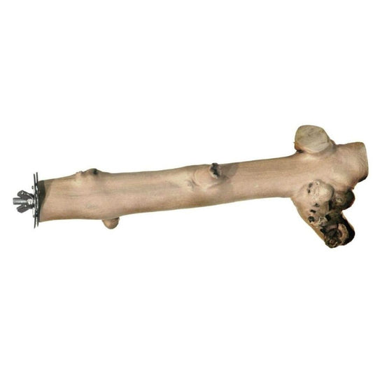 Prevue Pet Naturals Coffee Wood Straight Branch Perch-Bird-Prevue-9" Long-